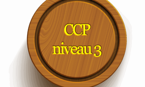 CCP 3
