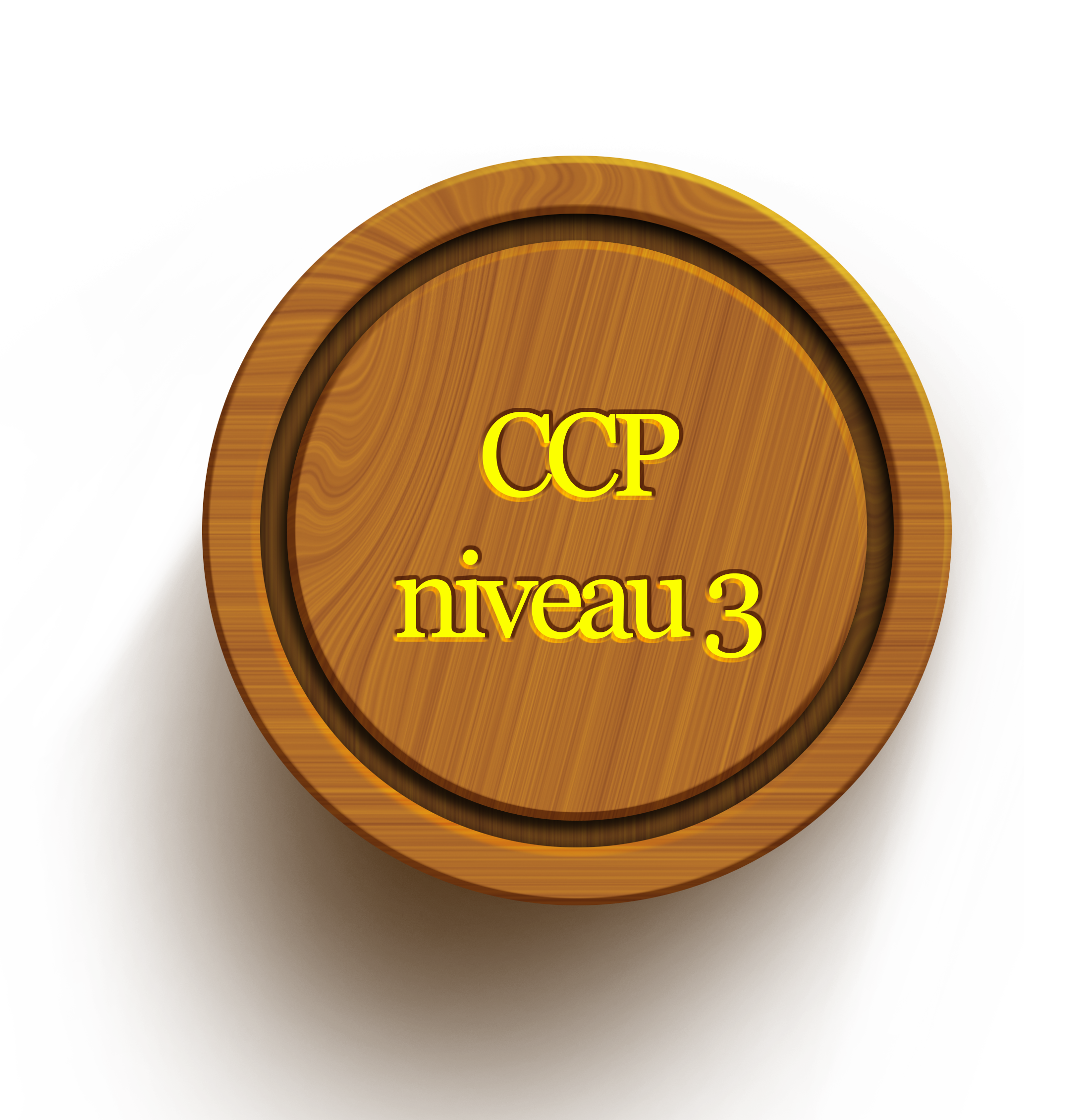 CCP 3