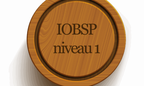 Miniature du cours