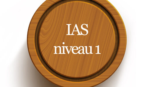 IAS 1