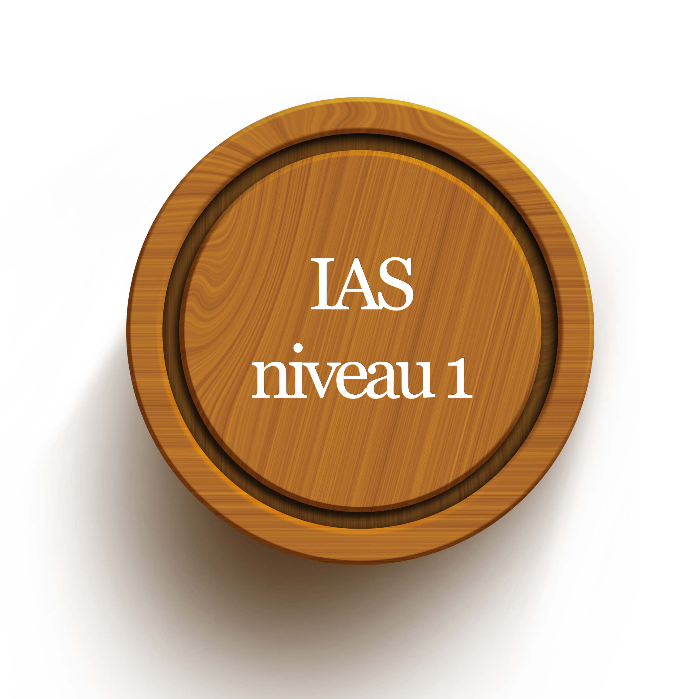IAS 1
